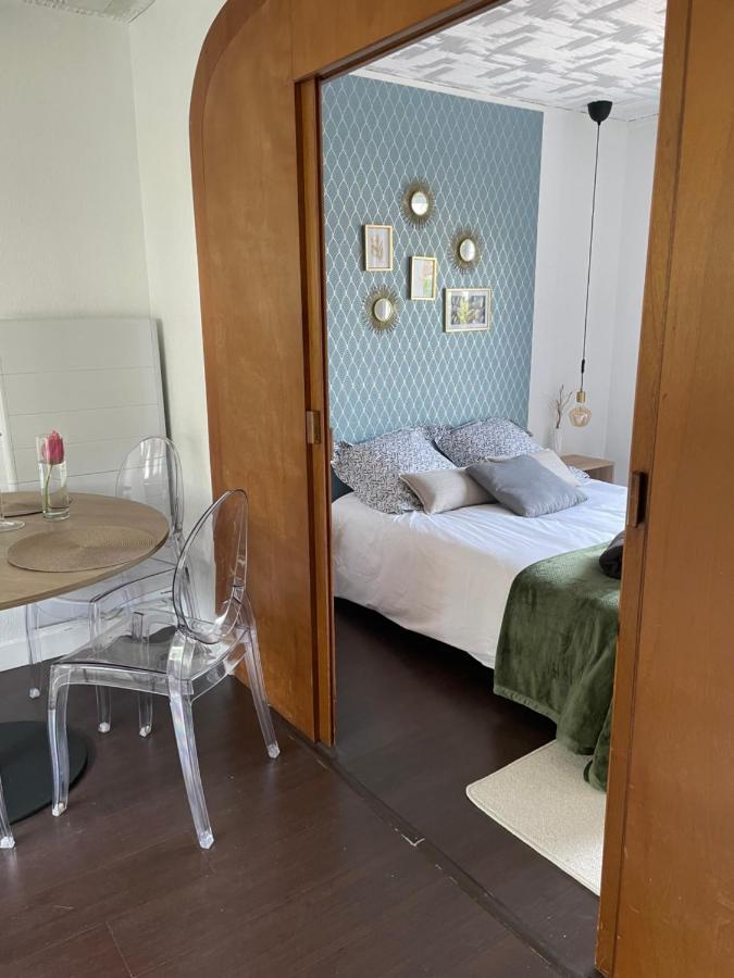 50 M2 T2 Au Calme, Lumineux, Confortable, Cosy, Climatise, Privatif Avec Parking Gratuit Et Terrasse Toulouse Ngoại thất bức ảnh